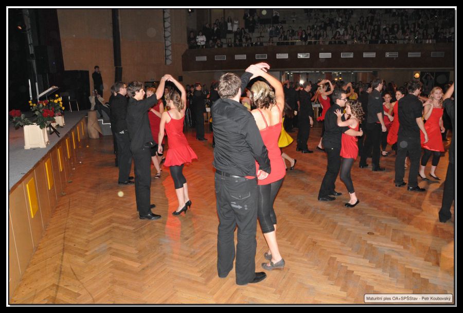 DSC_0108.JPG