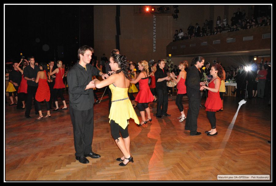 DSC_0135.JPG