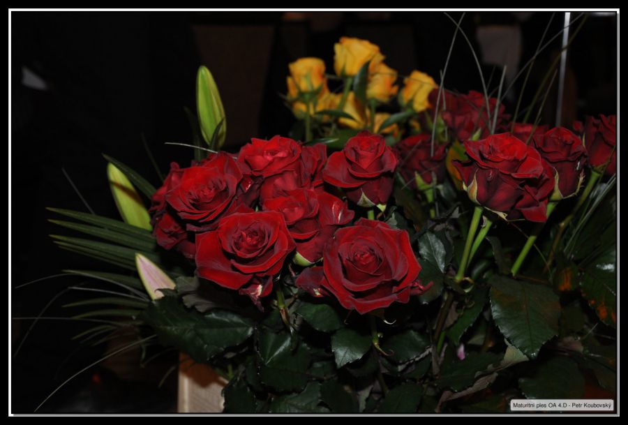 DSC_0167.JPG