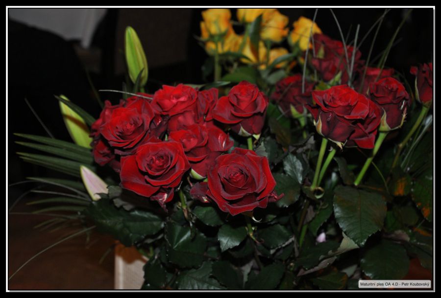 DSC_0168.JPG
