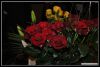 DSC_0167.JPG