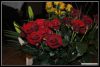 DSC_0168.JPG