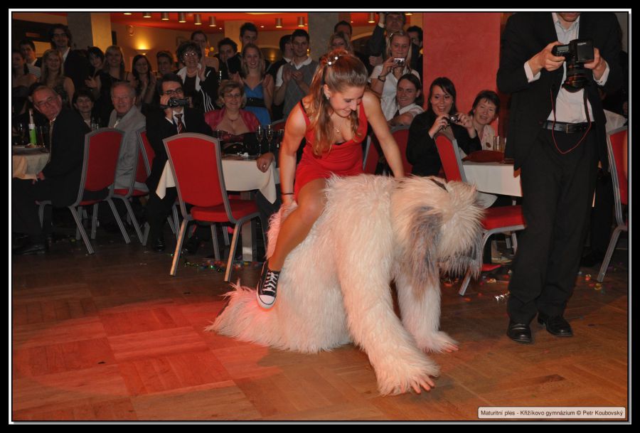 DSC_0750.JPG