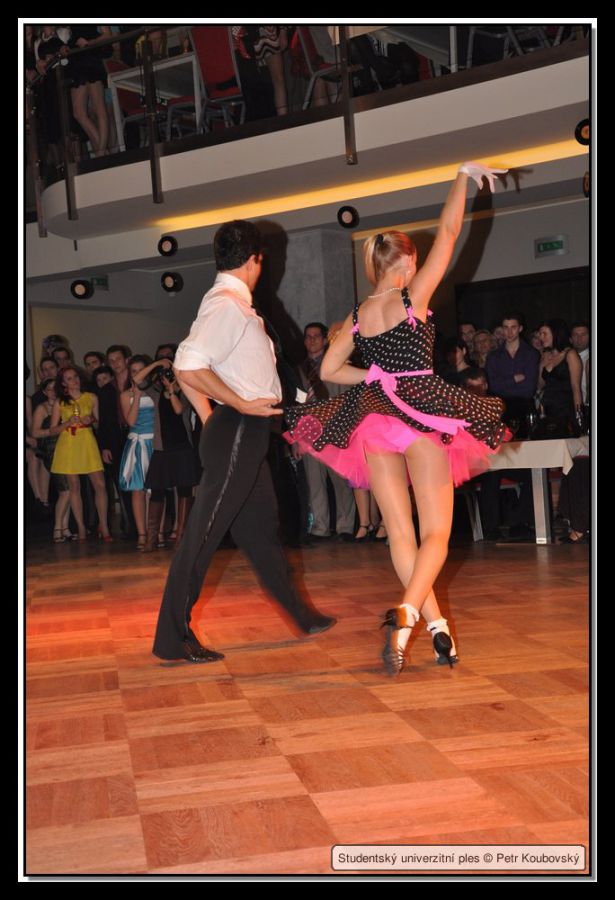 DSC_0214.JPG