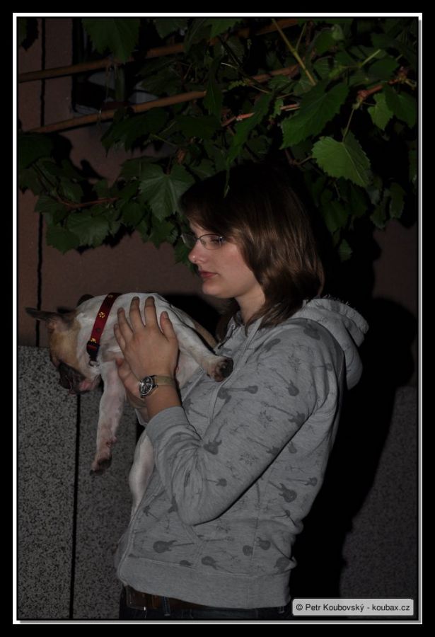 DSC_1775.JPG