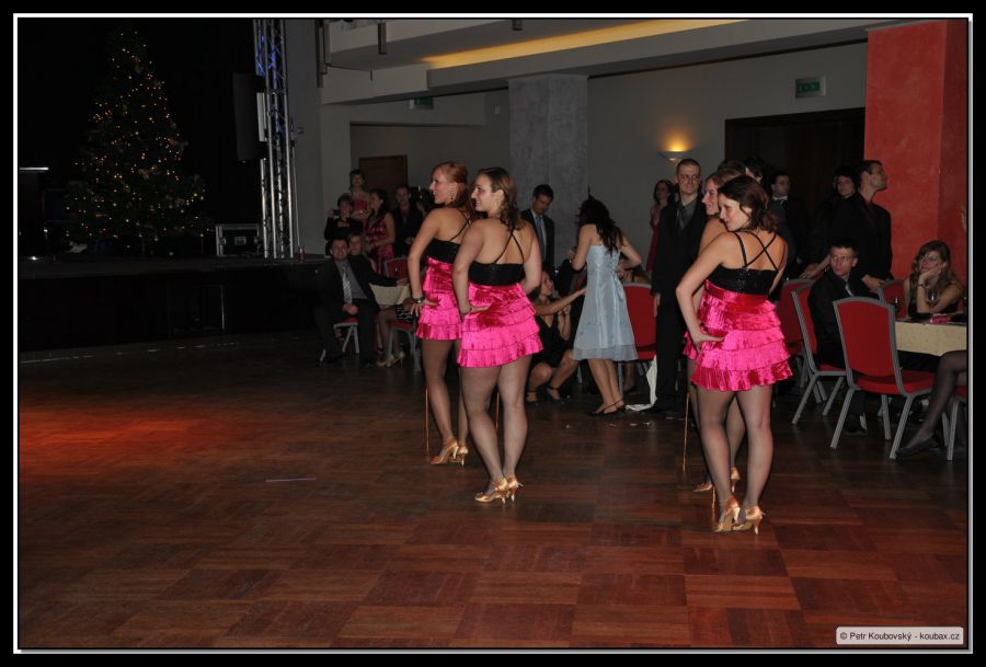 DSC_8583.JPG