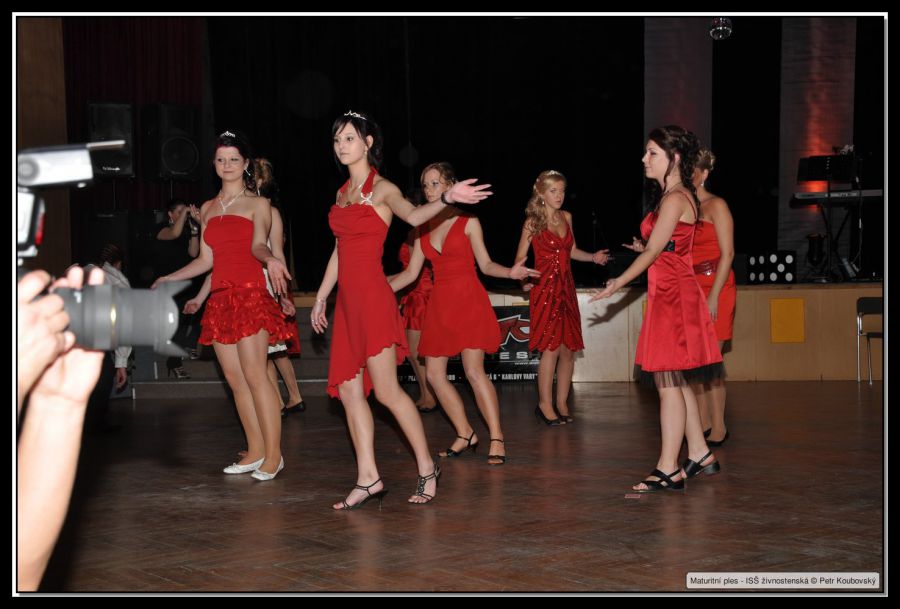 DSC_9231.JPG