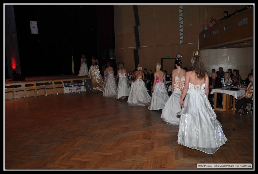 DSC_9277.JPG