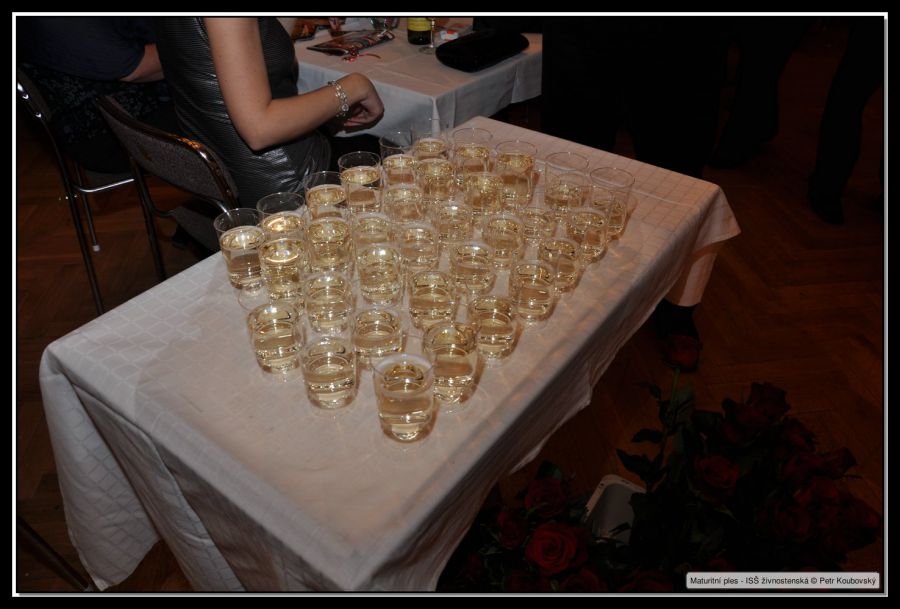 DSC_9292.JPG