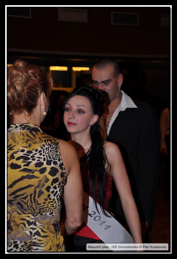 DSC_9305.JPG