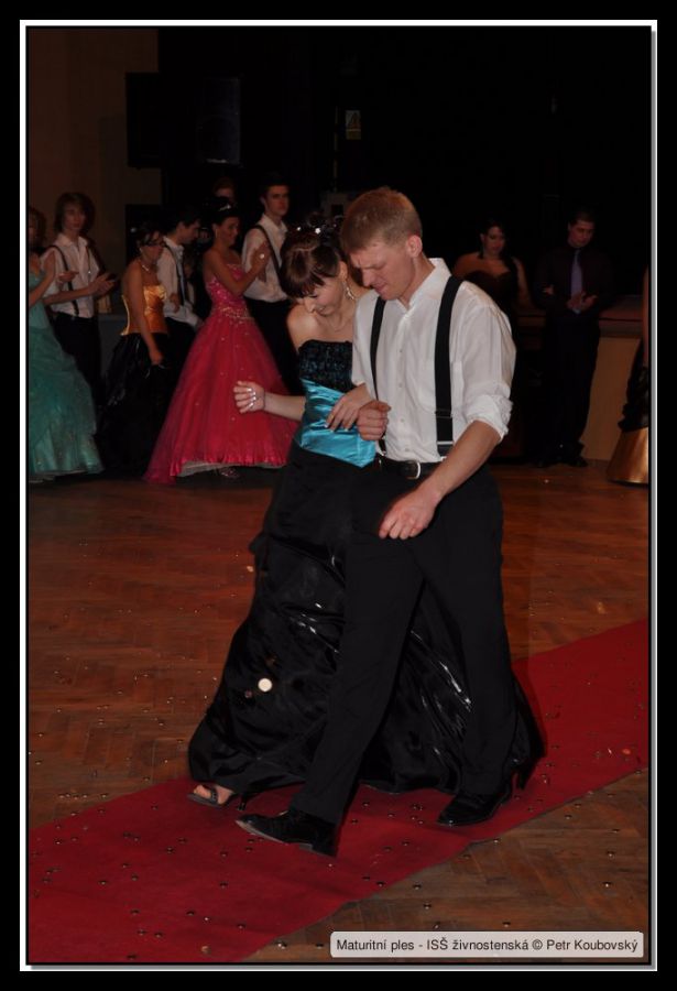 DSC_9325.JPG