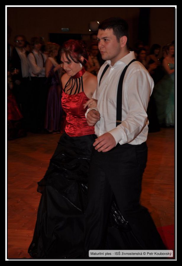 DSC_9328.JPG
