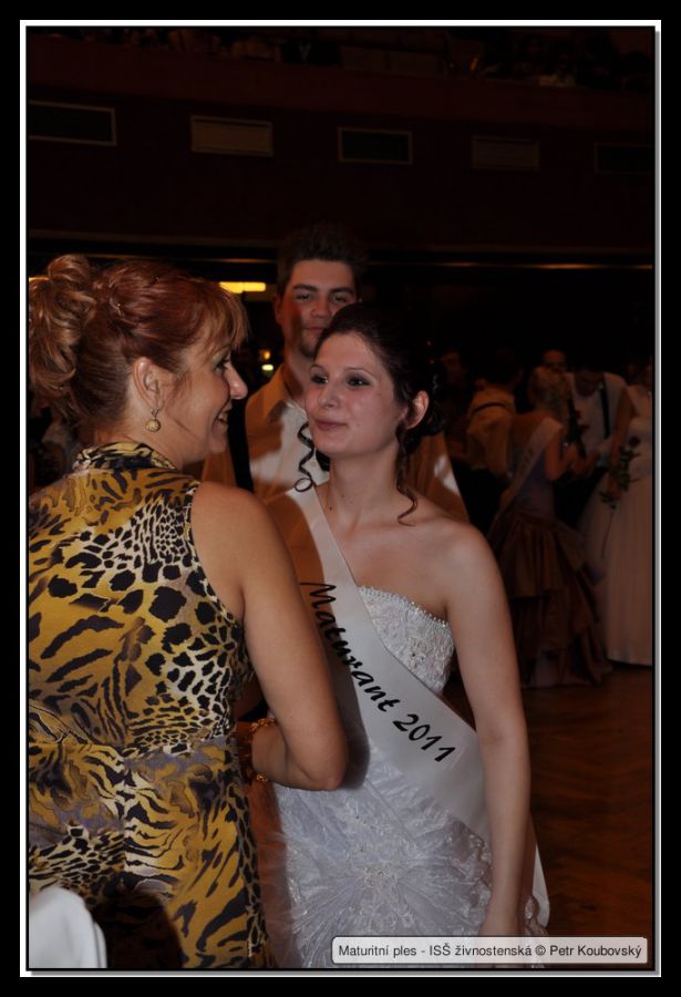 DSC_9334.JPG