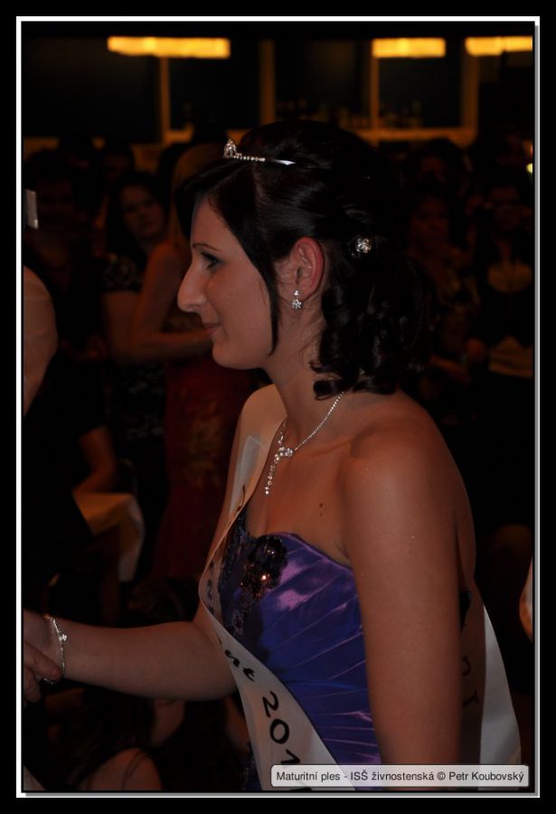 DSC_9351.JPG