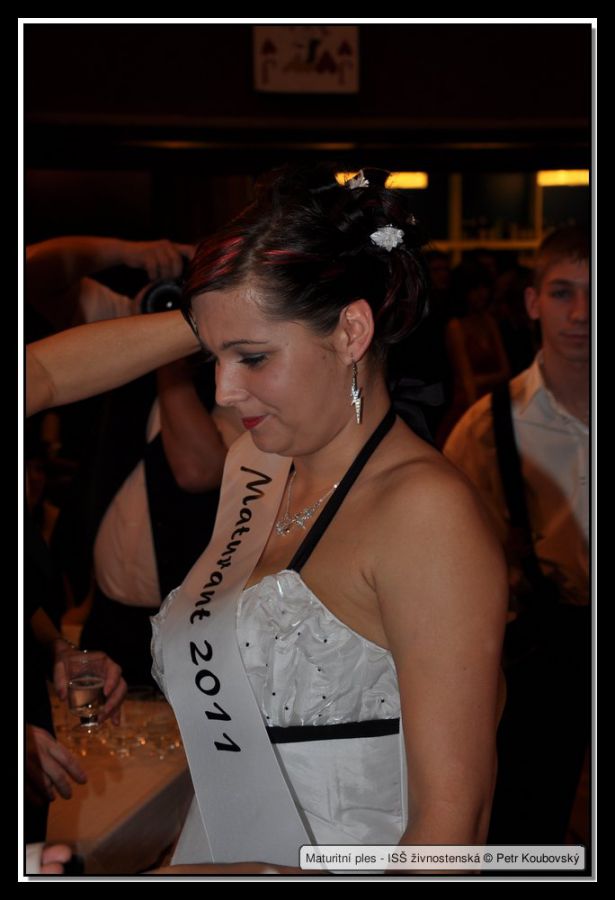 DSC_9377.JPG
