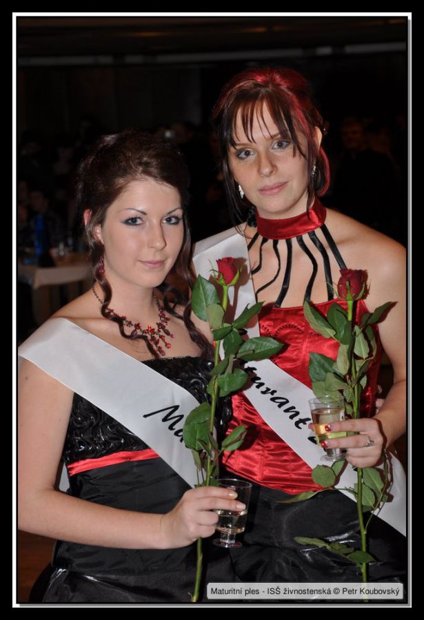 DSC_9437.JPG
