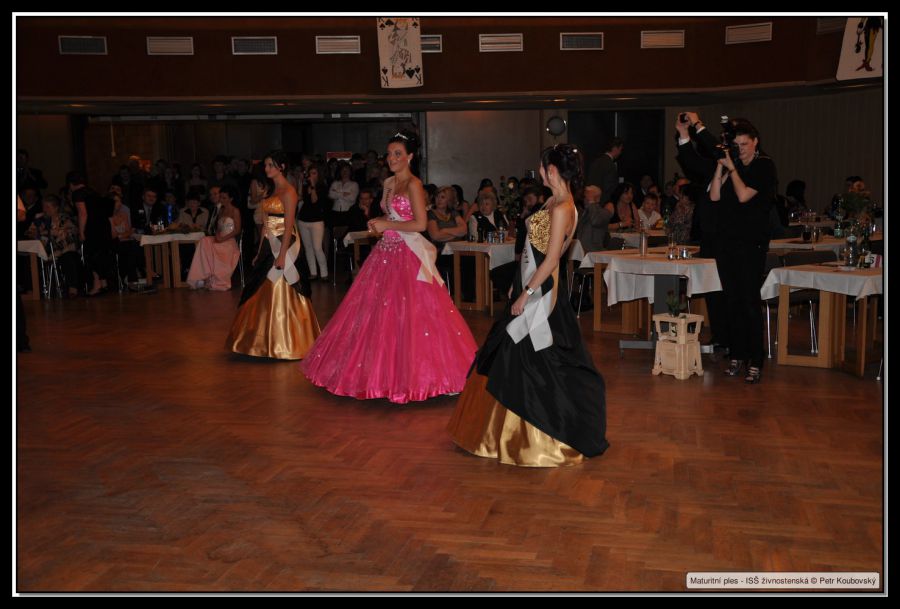 DSC_9481.JPG