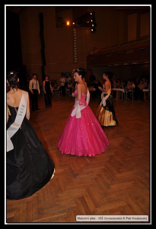 DSC_9482.JPG
