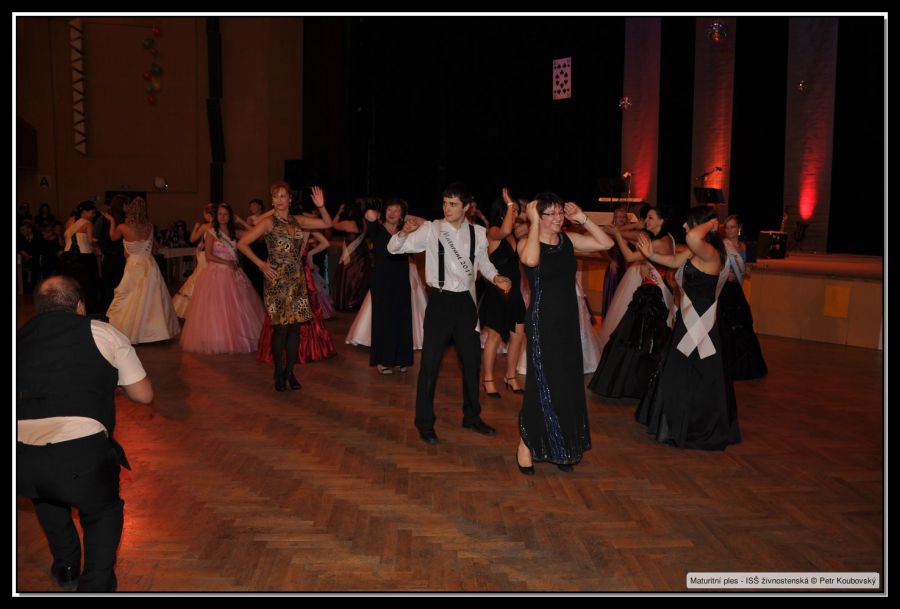 DSC_9484.JPG