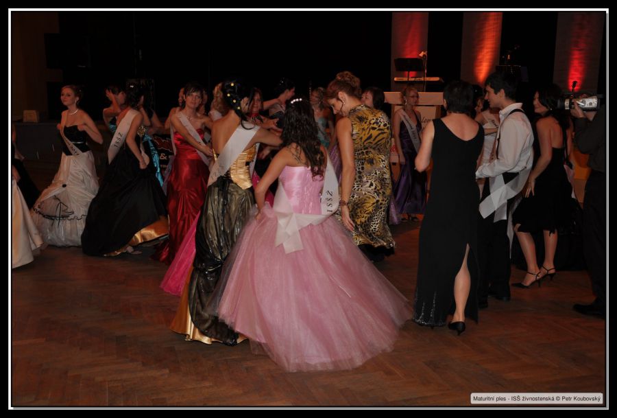 DSC_9501.JPG