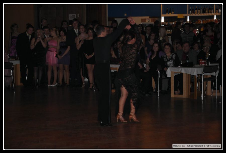 DSC_9559.JPG