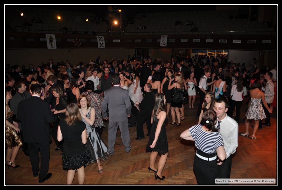DSC_9598.JPG