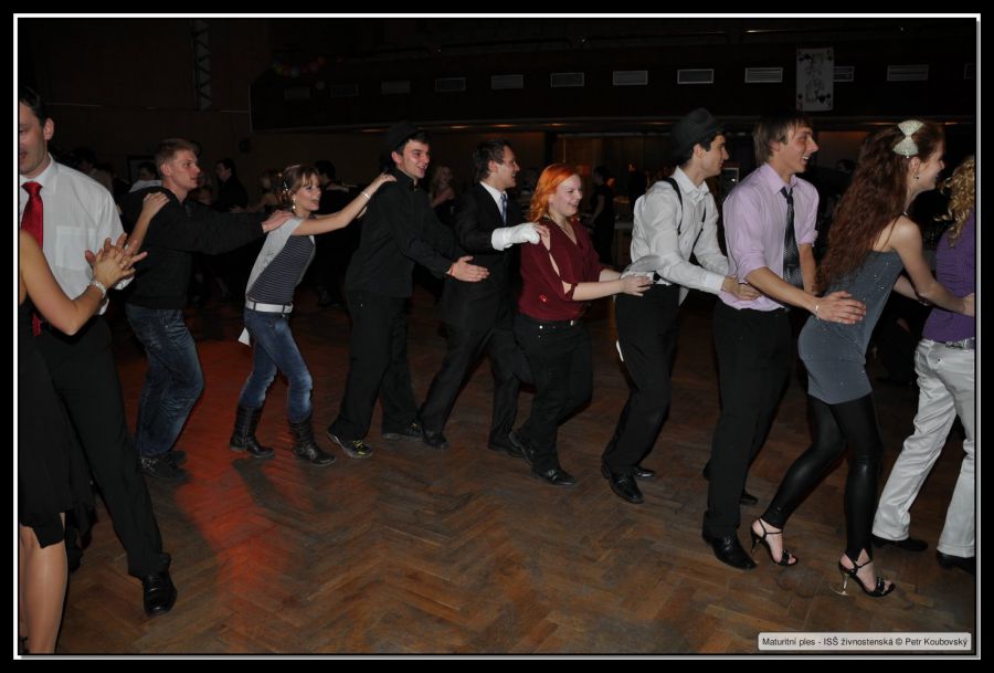 DSC_9921.JPG