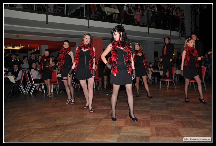 DSC_0381.JPG