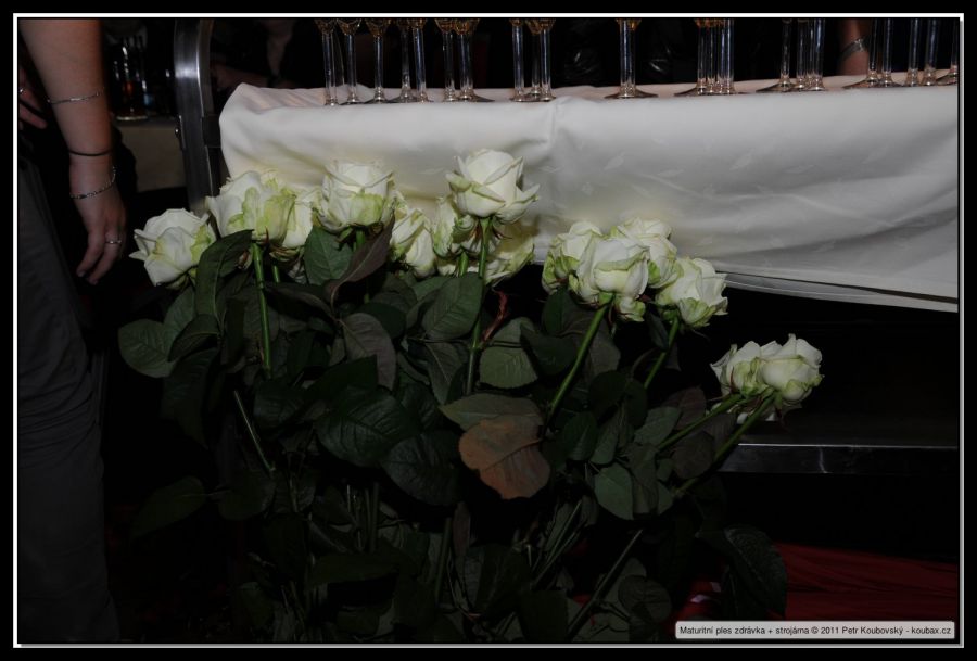 DSC_5403.JPG