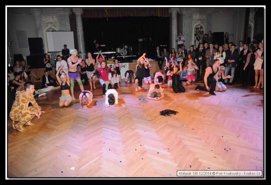 DSC_9209.JPG